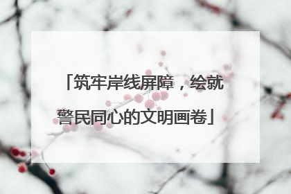 筑牢岸线屏障，绘就警民同心的文明画卷
