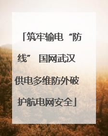 筑牢输电“防线” 国网武汉供电多维防外破护航电网安全
