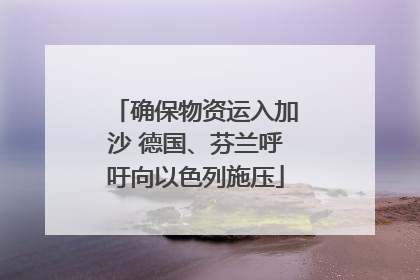 确保物资运入加沙 德国、芬兰呼吁向以色列施压