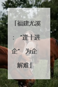 福建尤溪：“逢十进企” 为企解难