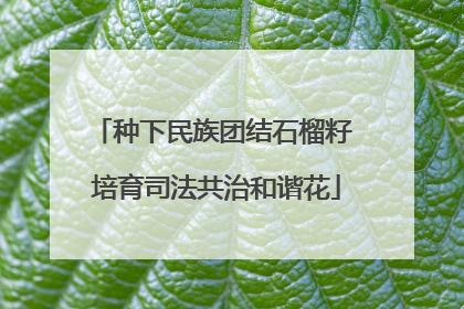 种下民族团结石榴籽 培育司法共治和谐花