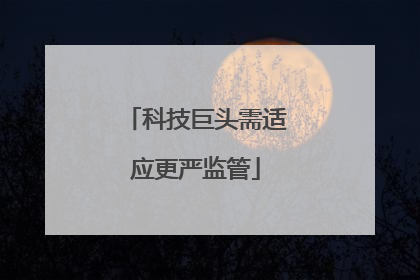 科技巨头需适应更严监管