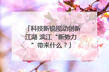 科技新锐搅动创新江湖 滨江“新势力”带来什么？