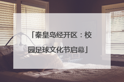 秦皇岛经开区：校园足球文化节启幕