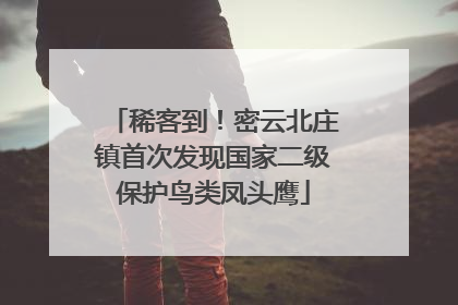稀客到！密云北庄镇首次发现国家二级保护鸟类凤头鹰