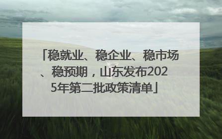 稳就业、稳企业、稳市场、稳预期，山东发布2025年第二批政策清单