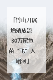 竹山开展增殖放流 30万尾鱼苗“飞”入堵河