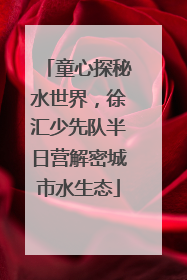 童心探秘水世界，徐汇少先队半日营解密城市水生态