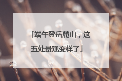 端午登岳麓山，这五处景观变样了