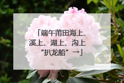 端午莆田海上、溪上、湖上、沟上“扒龙船”→