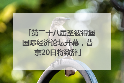 第二十八届圣彼得堡国际经济论坛开幕，普京20日将致辞