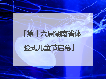 第十六届湖南省体验式儿童节启幕