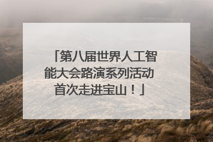 第八届世界人工智能大会路演系列活动首次走进宝山！