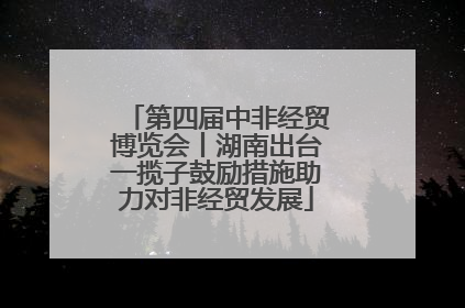 第四届中非经贸博览会丨湖南出台一揽子鼓励措施助力对非经贸发展