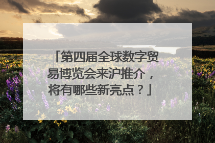 第四届全球数字贸易博览会来沪推介，将有哪些新亮点？