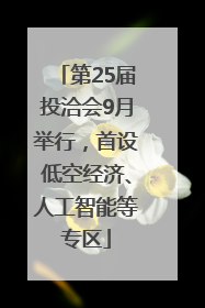 第25届投洽会9月举行，首设低空经济、人工智能等专区