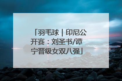 羽毛球｜印尼公开赛：刘圣书/谭宁晋级女双八强