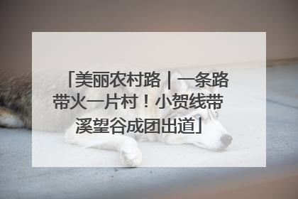 美丽农村路｜一条路带火一片村！小贺线带溪望谷成团出道