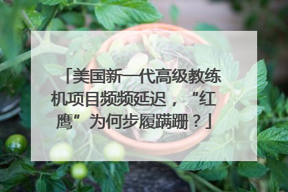 美国新一代高级教练机项目频频延迟，“红鹰”为何步履蹒跚？