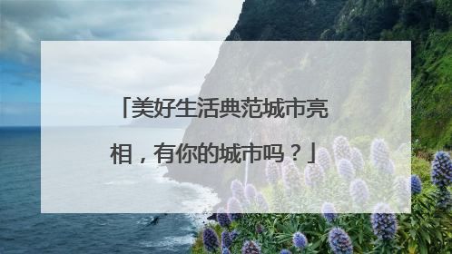 美好生活典范城市亮相，有你的城市吗？