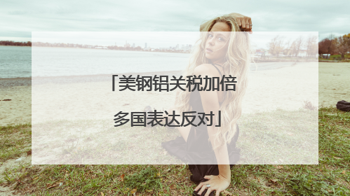 美钢铝关税加倍 多国表达反对