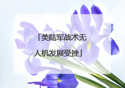 美陆军战术无人机发展受挫