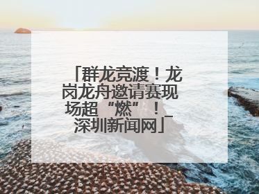 群龙竞渡！龙岗龙舟邀请赛现场超“燃”！_深圳新闻网