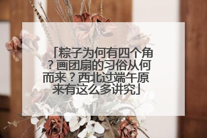 粽子为何有四个角？画团扇的习俗从何而来？西北过端午原来有这么多讲究