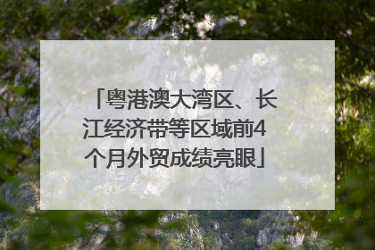 粤港澳大湾区、长江经济带等区域前4个月外贸成绩亮眼