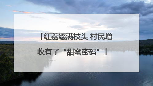 红荔缀满枝头 村民增收有了“甜蜜密码”
