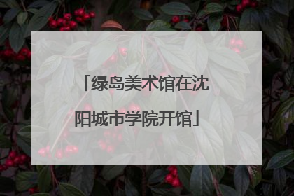 绿岛美术馆在沈阳城市学院开馆