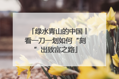 绿水青山的中国丨看一刀一划如何“刻”出致富之路