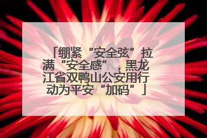 绷紧“安全弦”拉满“安全感”，黑龙江省双鸭山公安用行动为平安“加码”