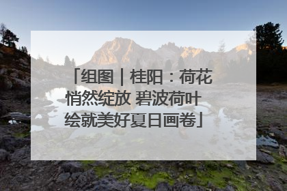 组图｜桂阳：荷花悄然绽放 碧波荷叶绘就美好夏日画卷