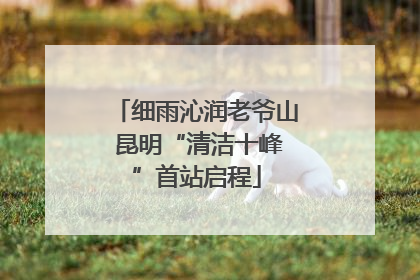 细雨沁润老爷山 昆明“清洁十峰”首站启程