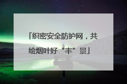 织密安全防护网，共绘烟叶好“丰”景
