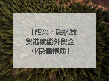 绍兴：融杭数贸港赋能外贸企业稳量提质