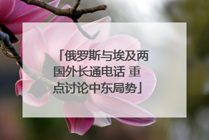 俄罗斯与埃及两国外长通电话 重点讨论中东局势