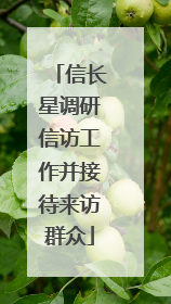 信长星调研信访工作并接待来访群众