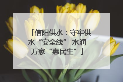 信阳供水：守牢供水“安全线” 水润万家“惠民生”