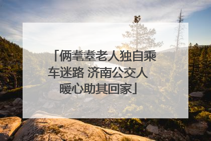 俩耄耋老人独自乘车迷路 济南公交人暖心助其回家