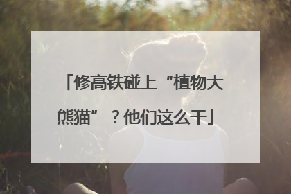 修高铁碰上“植物大熊猫”？他们这么干