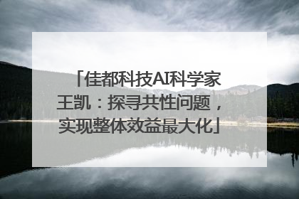 佳都科技AI科学家王凯：探寻共性问题，实现整体效益最大化