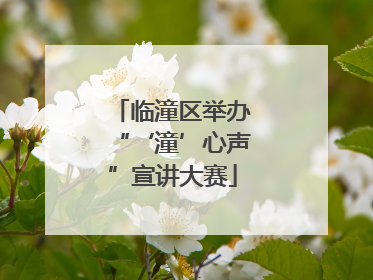临潼区举办“‘潼’心声”宣讲大赛