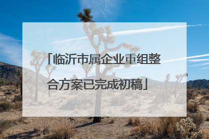 临沂市属企业重组整合方案已完成初稿