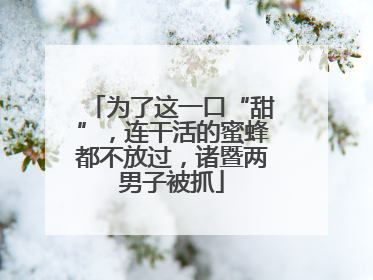 为了这一口“甜”，连干活的蜜蜂都不放过，诸暨两男子被抓