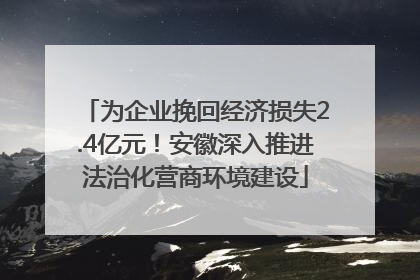 为企业挽回经济损失2.4亿元！安徽深入推进法治化营商环境建设