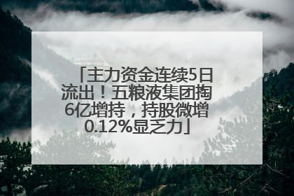 主力资金连续5日流出！五粮液集团掏6亿增持，持股微增0.12%显乏力