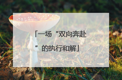 一场“双向奔赴”的执行和解