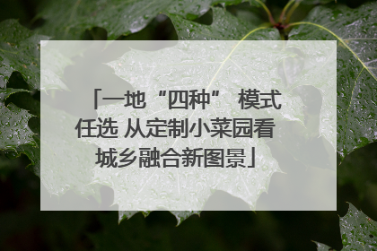 一地“四种” 模式任选 从定制小菜园看城乡融合新图景